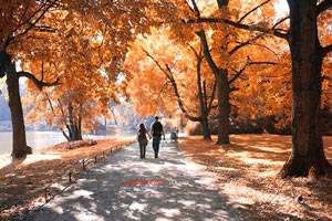 比赛回顾：欧国联上演激烈角逐！